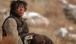 太原二虎爆料视频,揭秘背后惊人真相